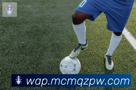 博亚app官网登录入口平台生态图