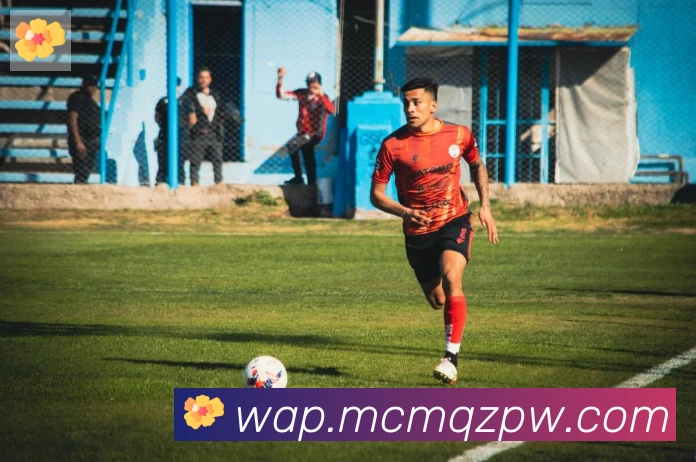 App Interface Preview