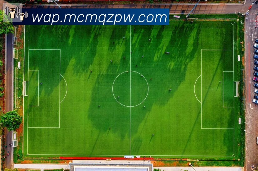 数据防护可视化